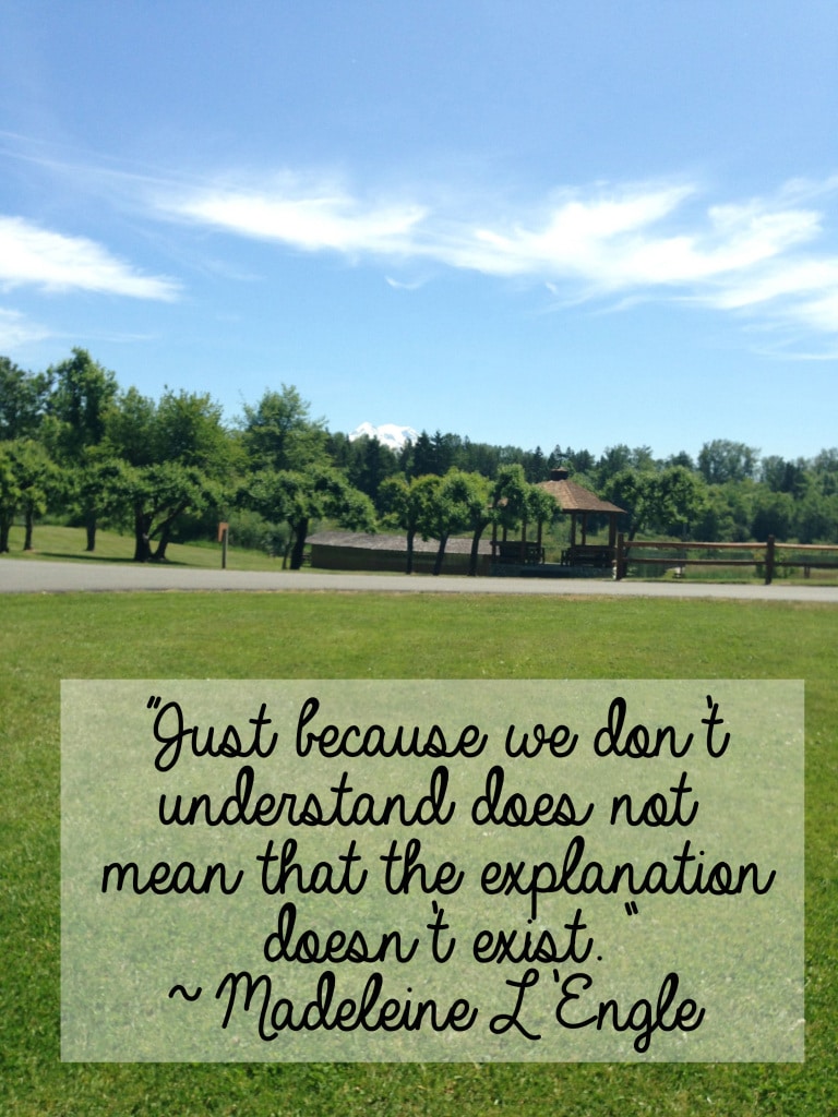 "Just because we don't understand does not mean that the explanation doesn't exist." ~ Madeleine L'Engle // stephanieorefice.net