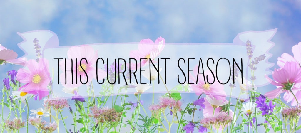 #thiscurrentseason // stephanieorefice.net