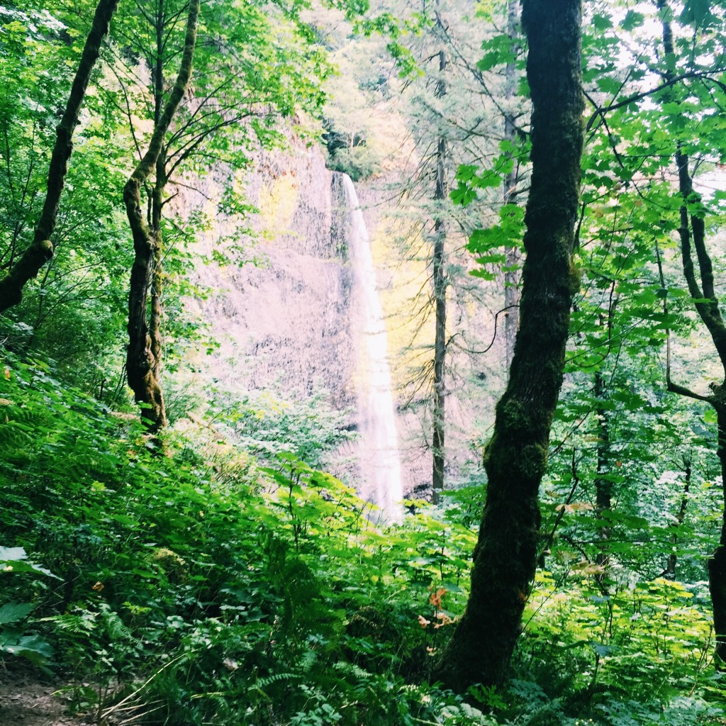 Latourell Falls // Portland, OR // stephanieorefice.net