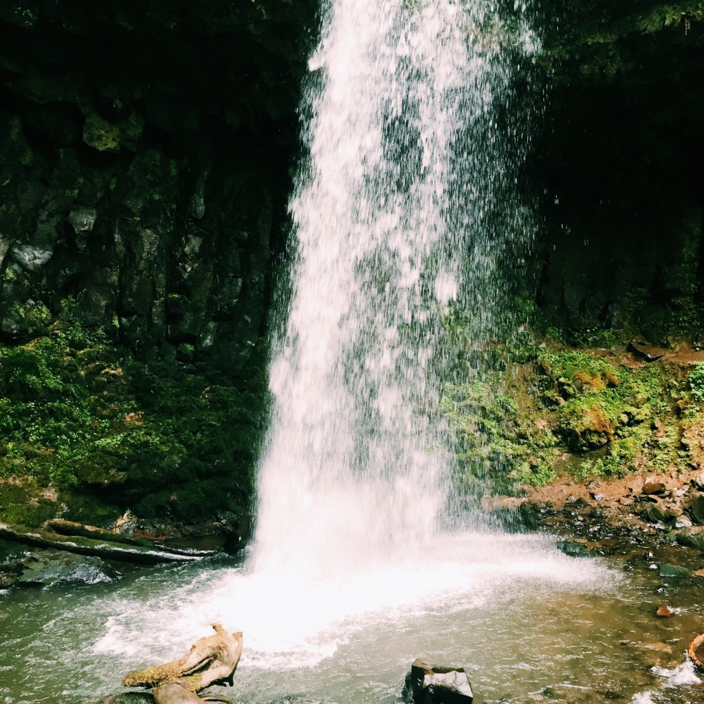 Latourell Falls // Portland, OR // stephanieorefice.net