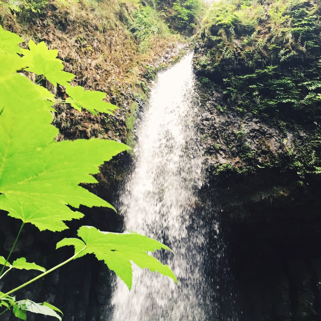 Latourell Falls // Portland, OR // stephanieorefice.net