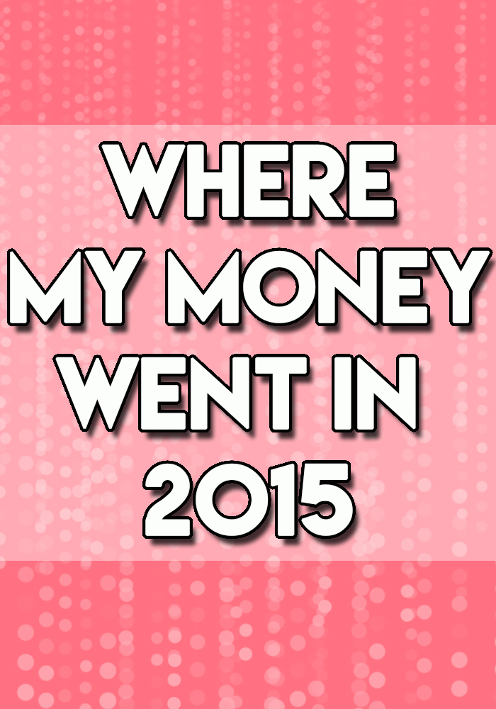 where my money went in 2015 // stephanieorefice.net